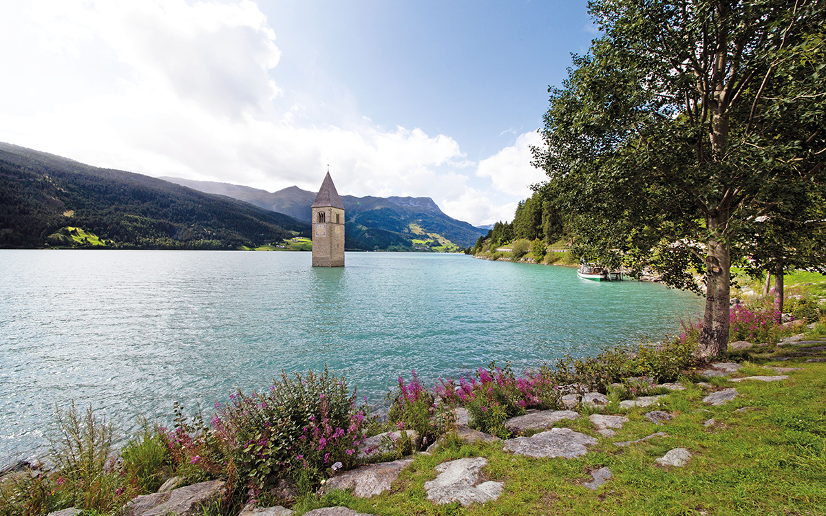 Vacanze in montagna con il cane a Merano