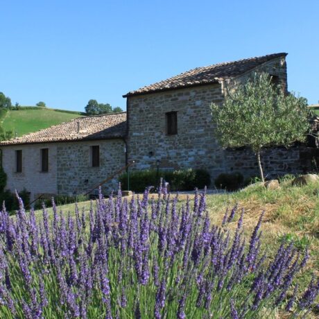 Agriturismo Carincone