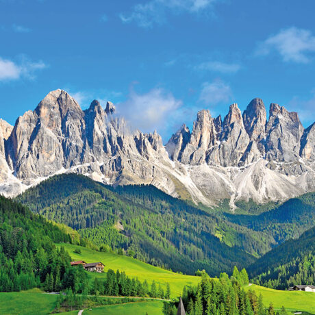 Con il cane in montagna a Bolzano