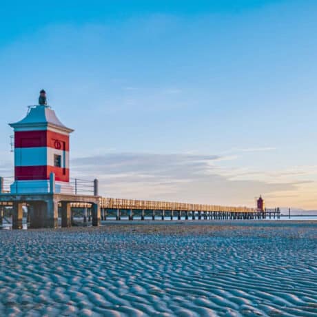 In vacanza con il cane a Lignano Sabbiadoro