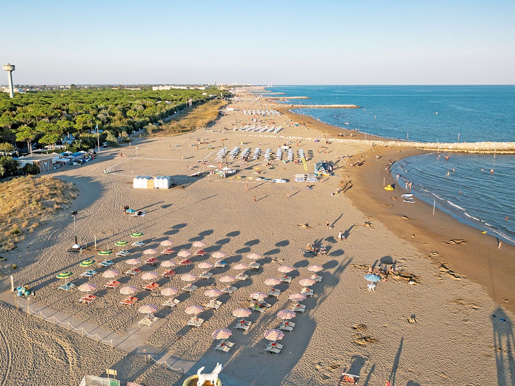 Cani al mare e "Cani da a-mare", a Grado