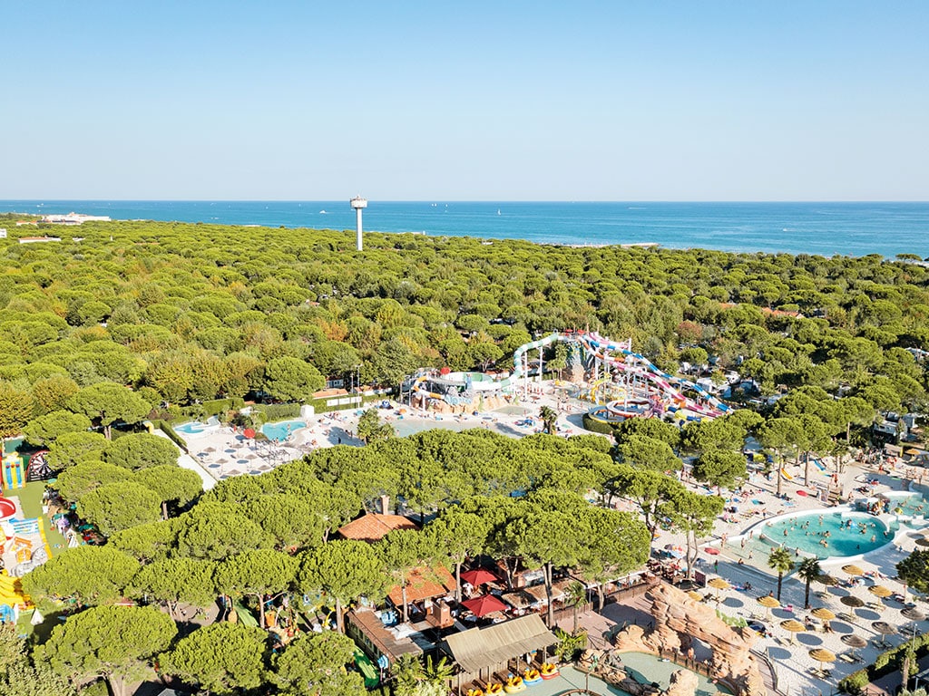 Cani al mare e "Cani da a-mare", a Grado