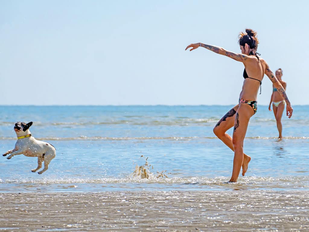 Cani al mare e "Cani da a-mare", a Grado