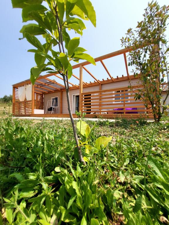 VioVillas Glamping Arezzo