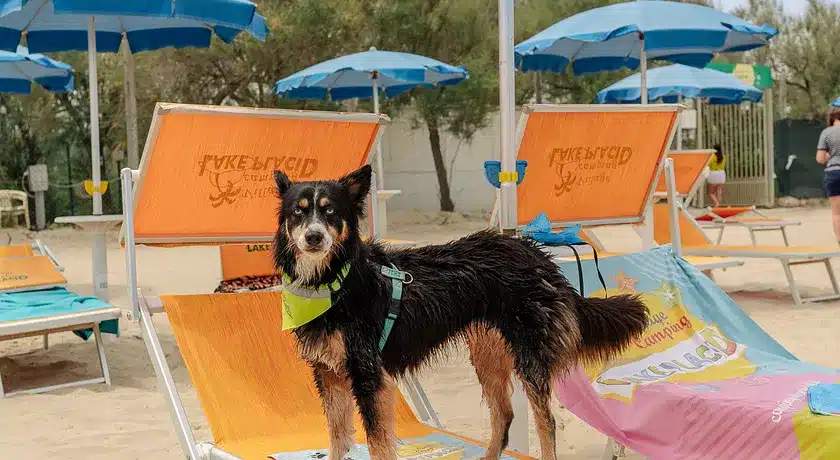 Villaggio Lake Placid