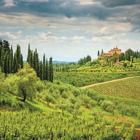 Vacanze nel Chianti con il pet tra borghi, vigneti, degustazioni e camminate