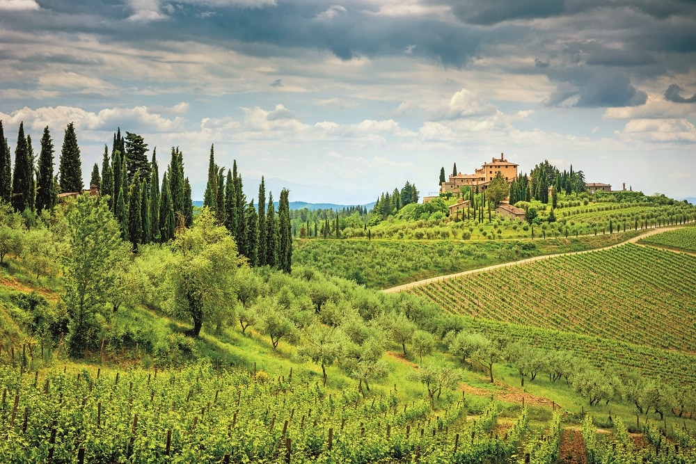 Colline del Chianti: ecco come organizzare vacanze pet friendly nel Chianti