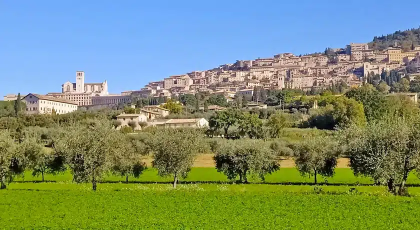 Agriturismo Giardino Degli Olivi