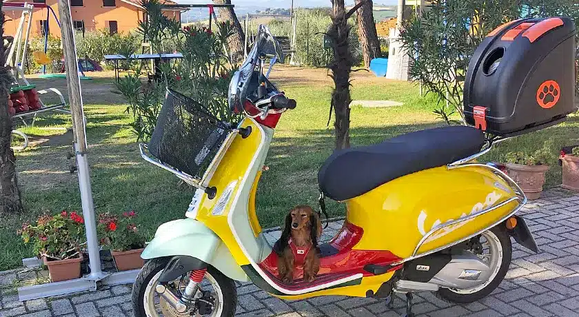 Mar Y Sierra Camping Village