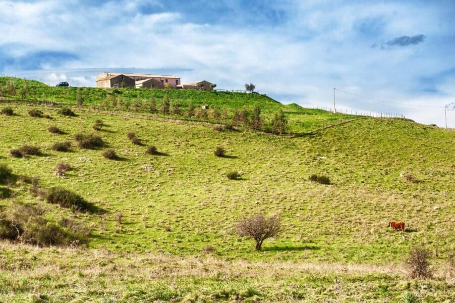 Agriturismo Case Tabarani