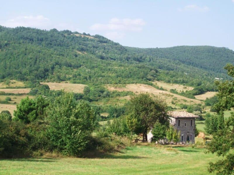 Strutture Pet-Friendly