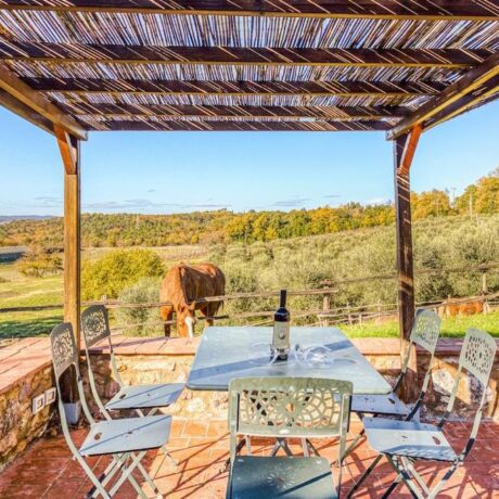 Agriturismo Verniano