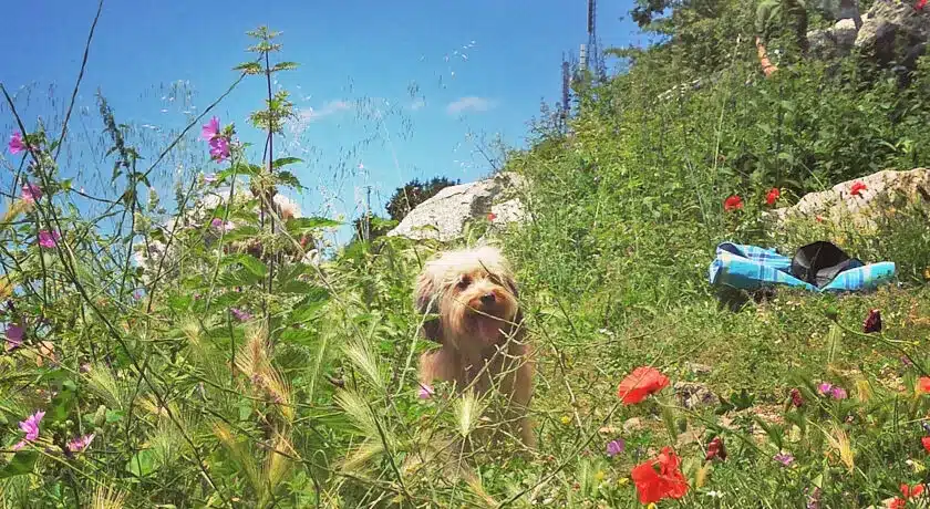 Agriturismo La Conca