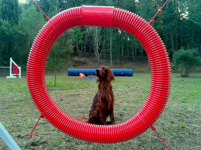 Agriturismo Aria Toscana