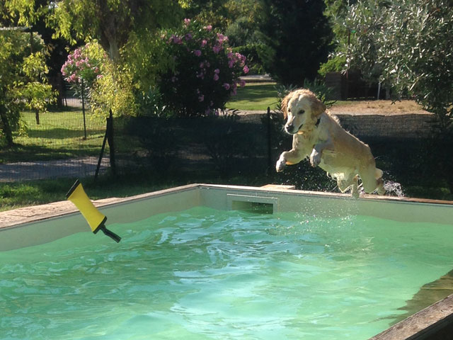 Residence Guardamare