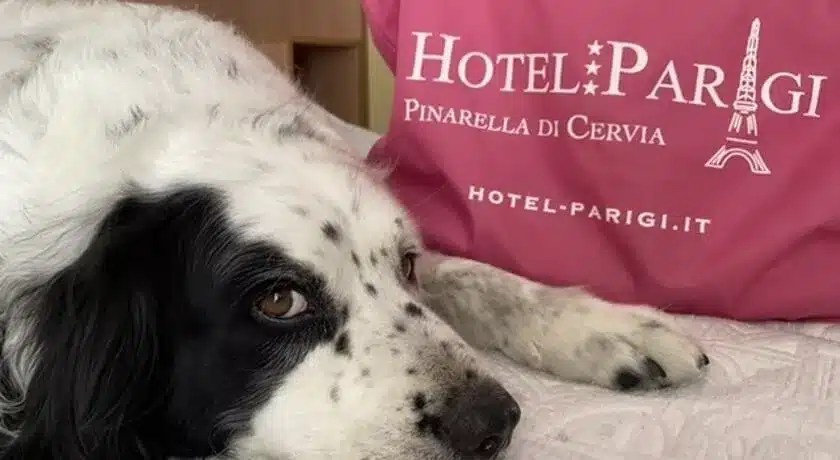 Hotel Parigi Cervia
