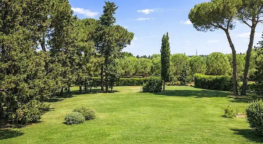 Strutture Pet-Friendly