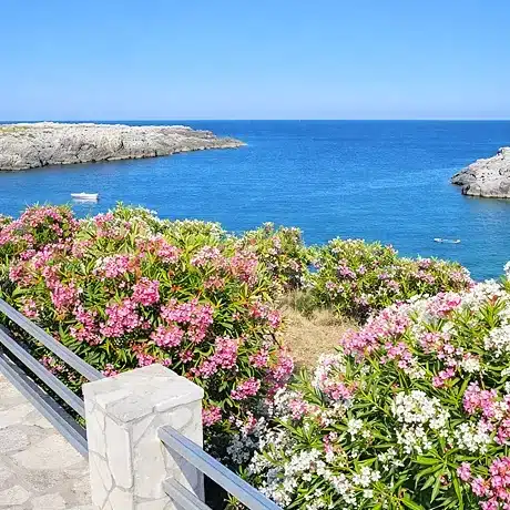 Masseria Terra d'Otranto