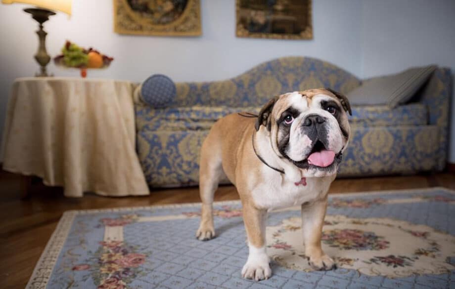 Hotel Palazzo dal Borgo