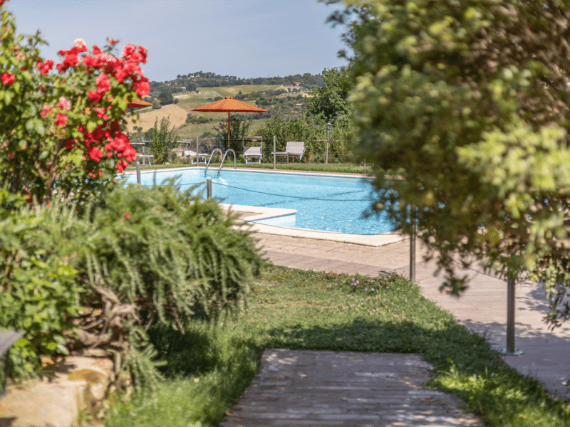 Strutture Pet-Friendly