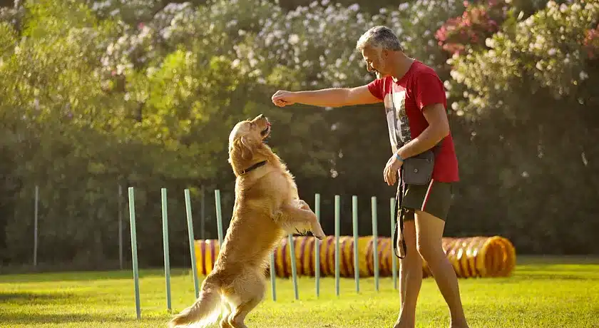 Vascellero Club Resort